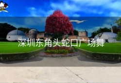 深圳东角头蛇口广场舞