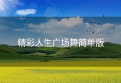 精彩人生广场舞简单版