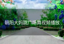 朝阳大妈跳广场舞视频播放