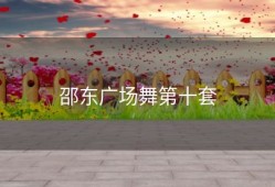 邵东广场舞第十套