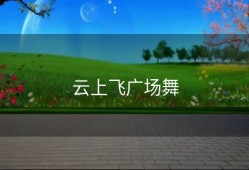 云上飞广场舞