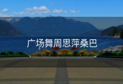 广场舞周思萍桑巴