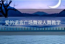 爱的诺言广场舞双人舞教学