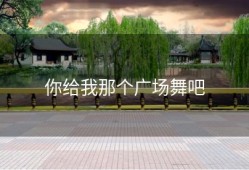 你给我那个广场舞吧