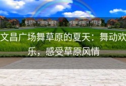 文昌广场舞草原的夏天：舞动欢乐，感受草原风情