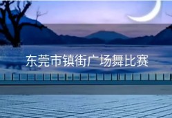 东莞市镇街广场舞比赛