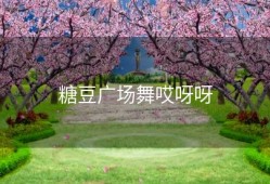 糖豆广场舞哎呀呀