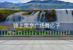 锦上南京广场舞応子