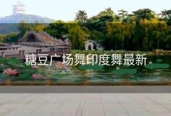 糖豆广场舞印度舞最新