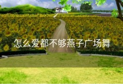 怎么爱都不够燕子广场舞