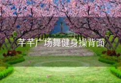 芊芊广场舞健身操背面