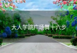 大人学跳广场舞十六步