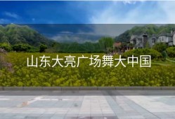 山东大亮广场舞大中国