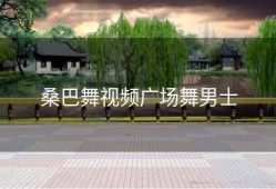 桑巴舞视频广场舞男士