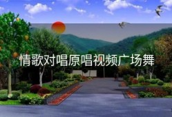 情歌对唱原唱视频广场舞