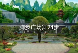 脚步广场舞24步