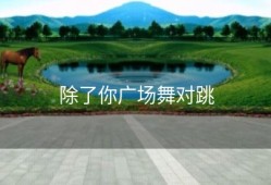 除了你广场舞对跳