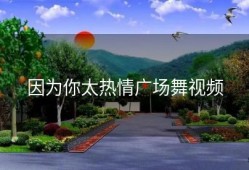 因为你太热情广场舞视频
