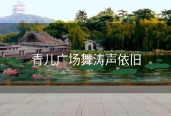 青儿广场舞涛声依旧