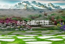 去中天健广场舞