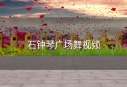 石钟琴广场舞视频