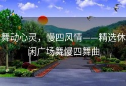 舞动心灵，慢四风情——精选休闲广场舞慢四舞曲