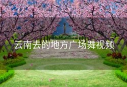 云南去的地方广场舞视频