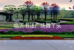 临沂书法广场舞丫头