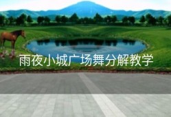 雨夜小城广场舞分解教学