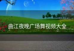 曲江夜晚广场舞视频大全