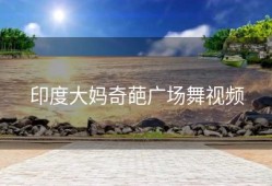 印度大妈奇葩广场舞视频
