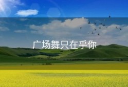 广场舞只在乎你