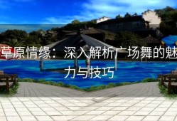 草原情缘：深入解析广场舞的魅力与技巧