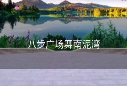 八步广场舞南泥湾