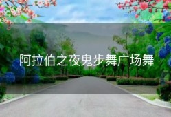 阿拉伯之夜鬼步舞广场舞