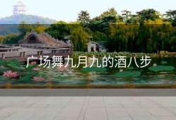 广场舞九月九的酒八步