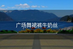 广场舞裙裤牛奶丝