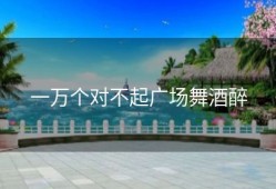 一万个对不起广场舞酒醉