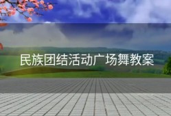 民族团结活动广场舞教案