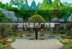 2015最热广场舞