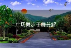 广场舞步子舞分解