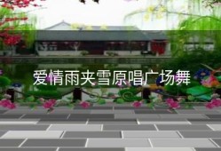 爱情雨夹雪原唱广场舞