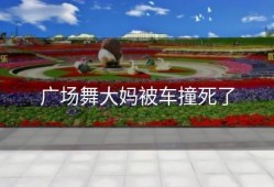 广场舞大妈被车撞死了
