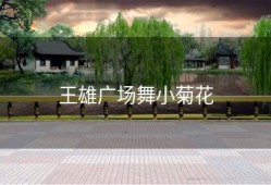 王雄广场舞小菊花