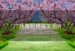 广场舞轮椅搞笑图片