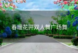 春暖花开双人舞广场舞