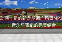 动感十足的新龙船调广场舞MP3：音乐与舞蹈的完美结合