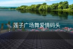 莲子广场舞爱情码头