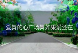 爱舞的心广场舞如果爱还在