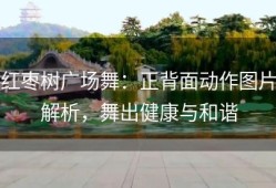 红枣树广场舞：正背面动作图片解析，舞出健康与和谐